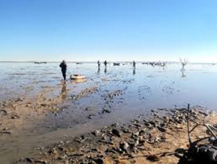 Renace el Poopó: el segundo lago más grande de Bolivia recupera el 70% de sus aguas tras secarse
